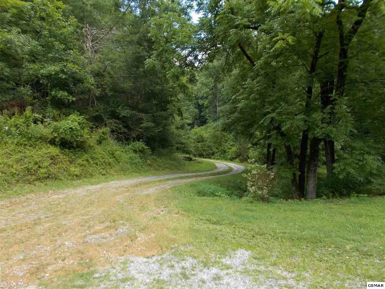 1551 Rocky Top Road Del Rio, TN 37727 - Photo 5 of 15 Gallery Image 5