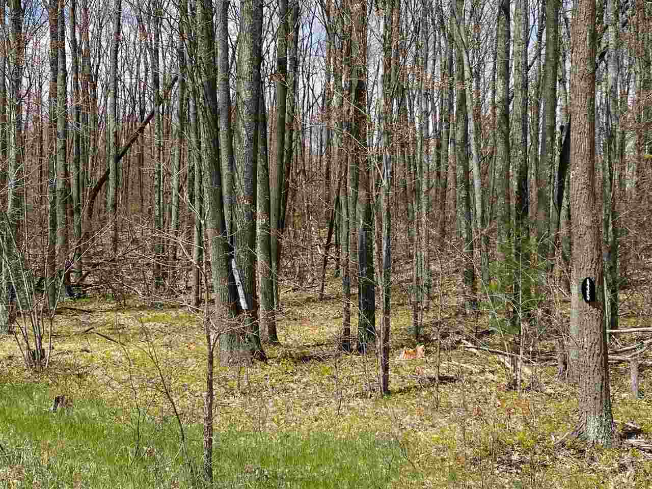 435 East Townline Lake Road Harrison, MI 48625 - Photo 23 of 24