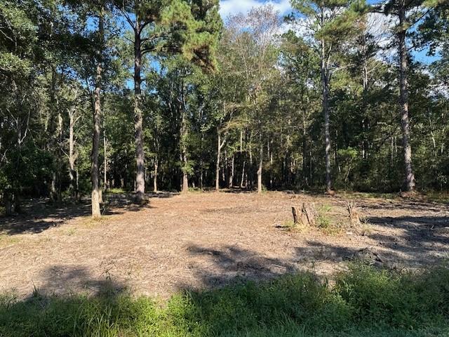 0 Tantela Ranch Road Covington, LA 70435 - Photo 2 of 3