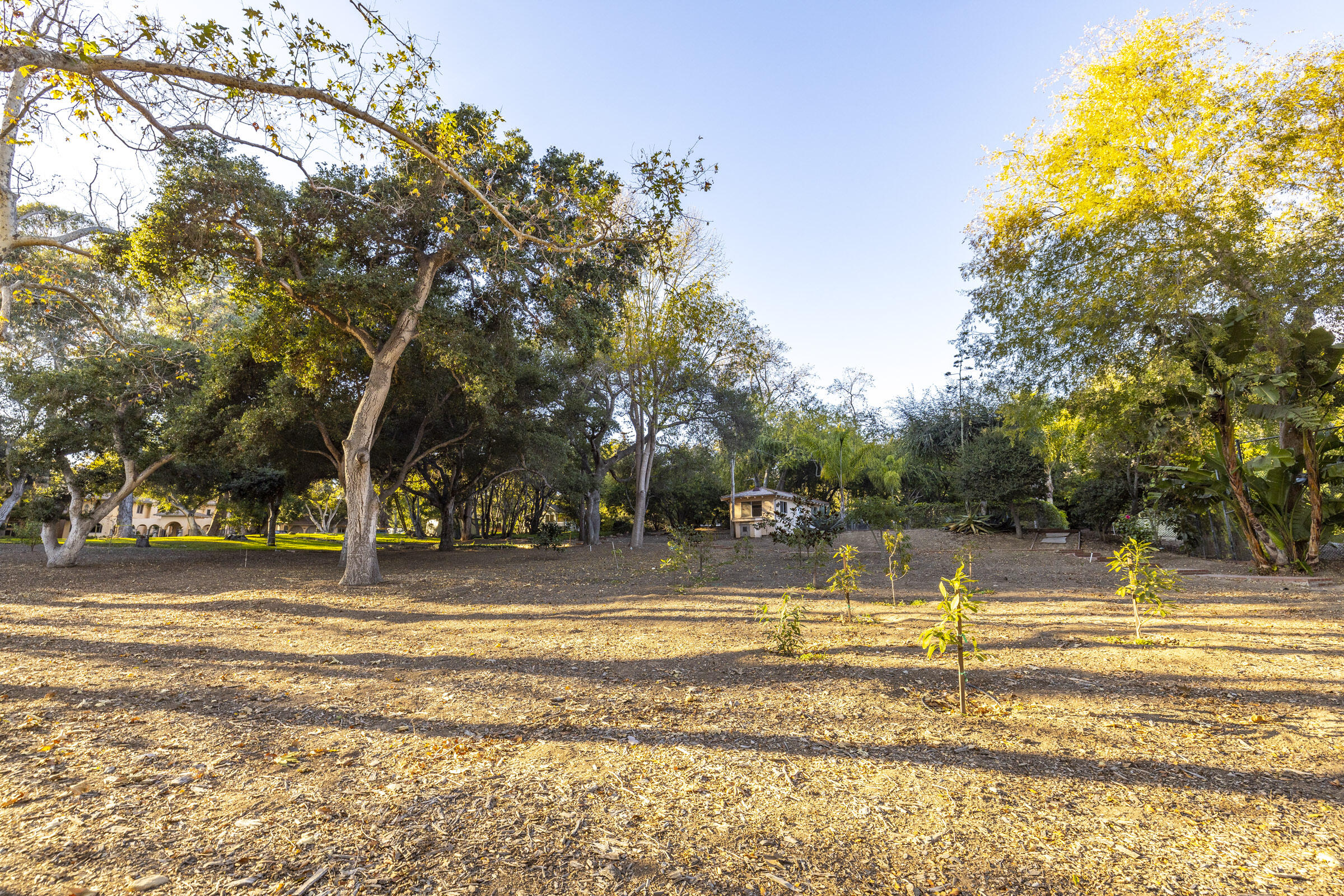 465 A Hot Springs Road Montecito, CA 93108 - Photo 7 of 9 465 Hot Springs_0007
