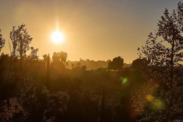 a view of a house with a backyard and a patio