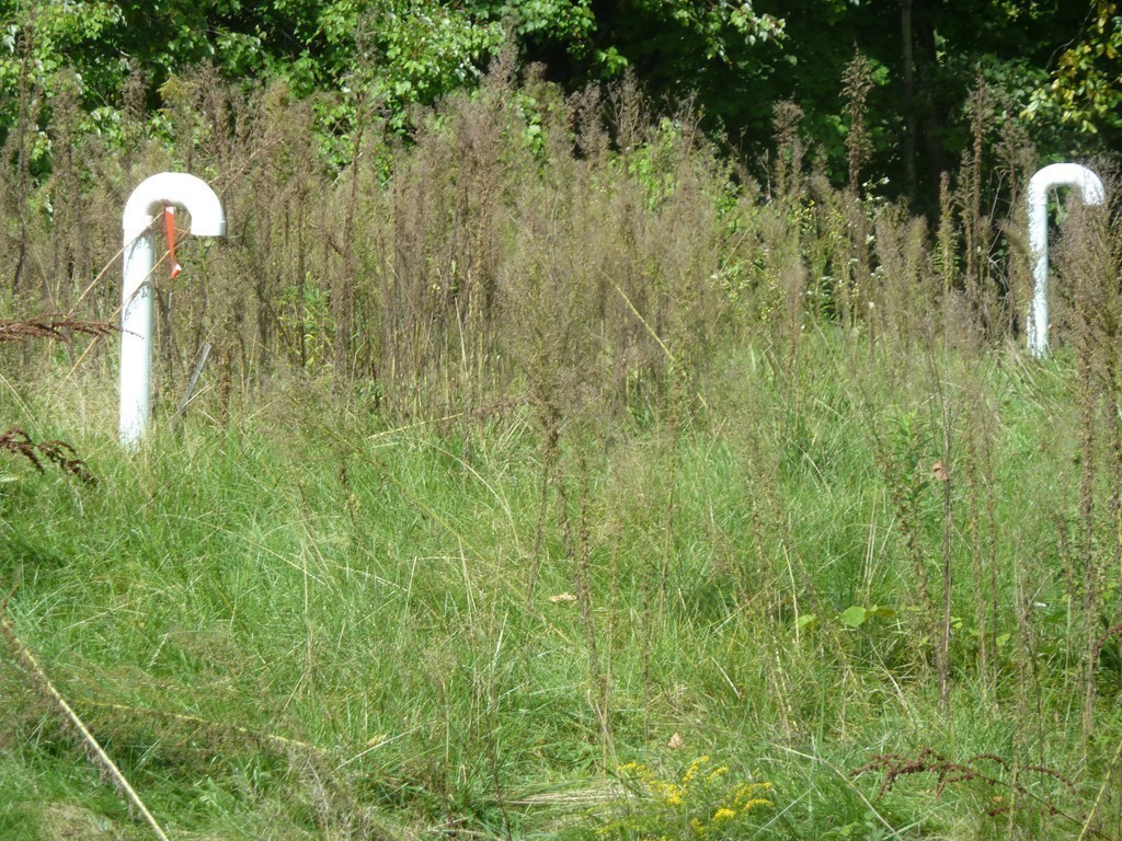 9 Dry Hill Road Montague, MA 01351 - Photo 23 of 30 Gallery Image 23