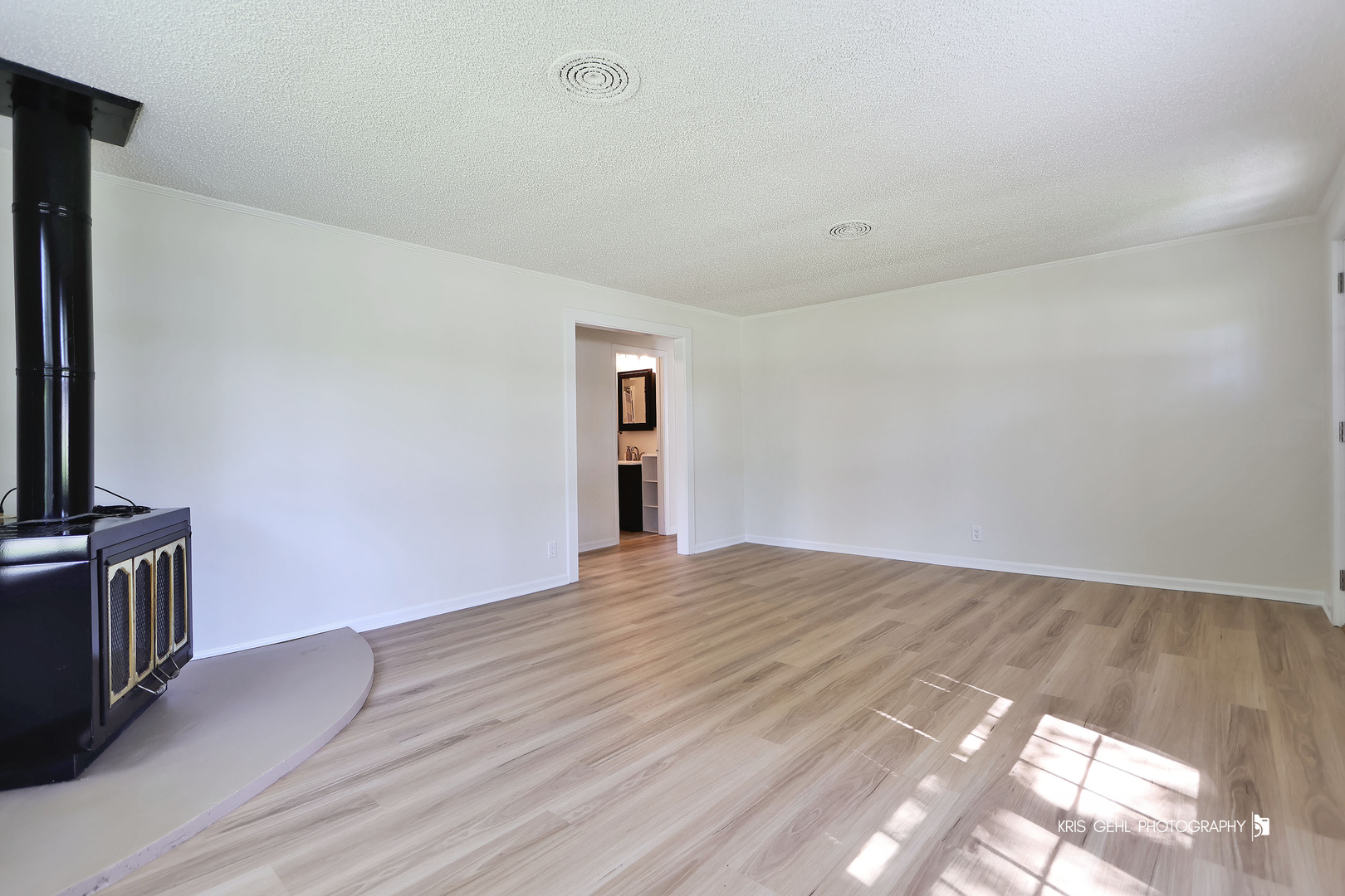 38690 North Green Bay Road Beach Park, IL 60087 - Photo 6 of 24