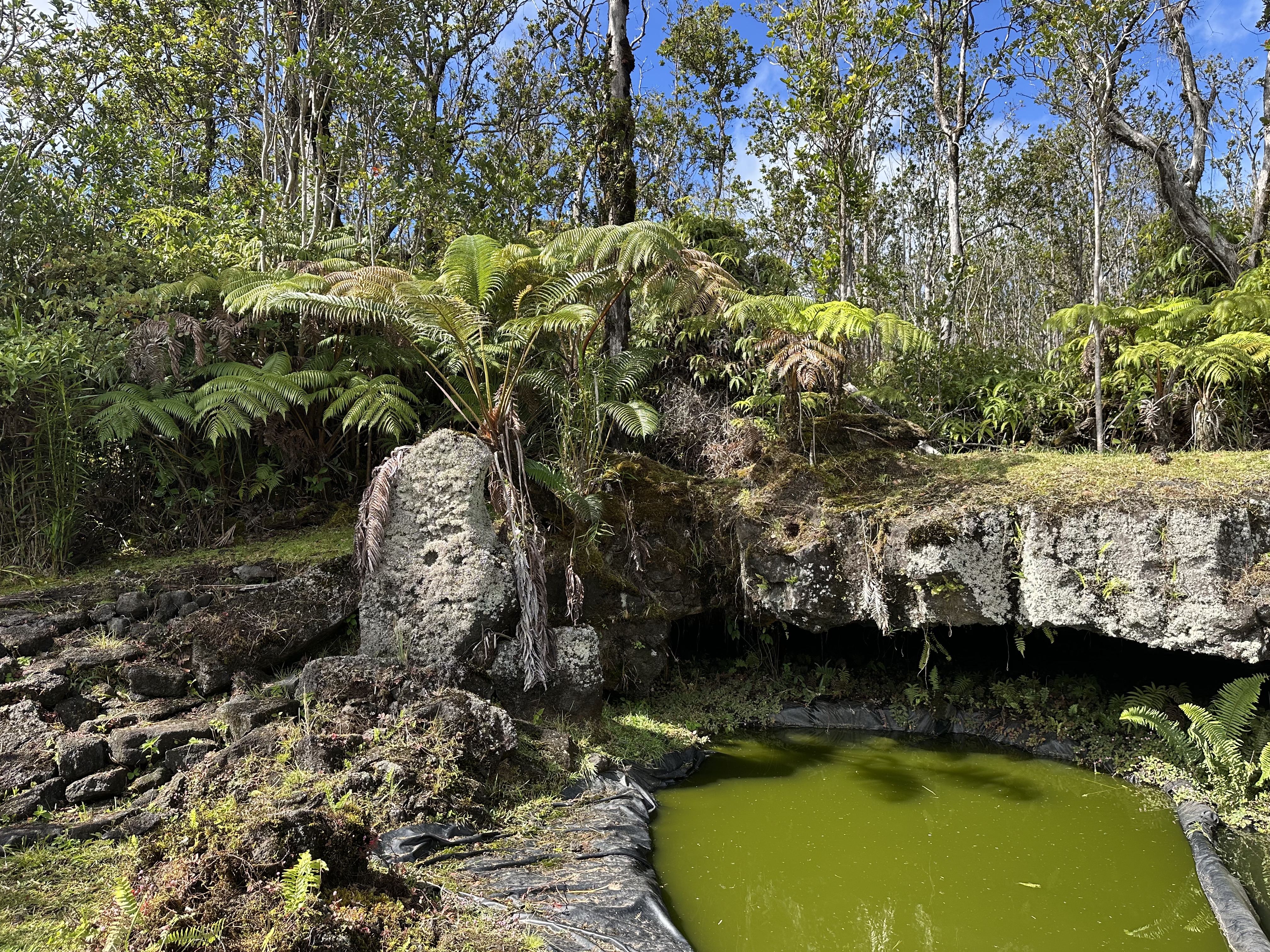 11-3003 Kahaualea Road Volcano, HI 96771 - Photo 12 of 25 a view of outdoor space and yard