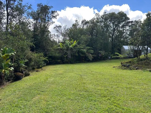 a view of a green yard