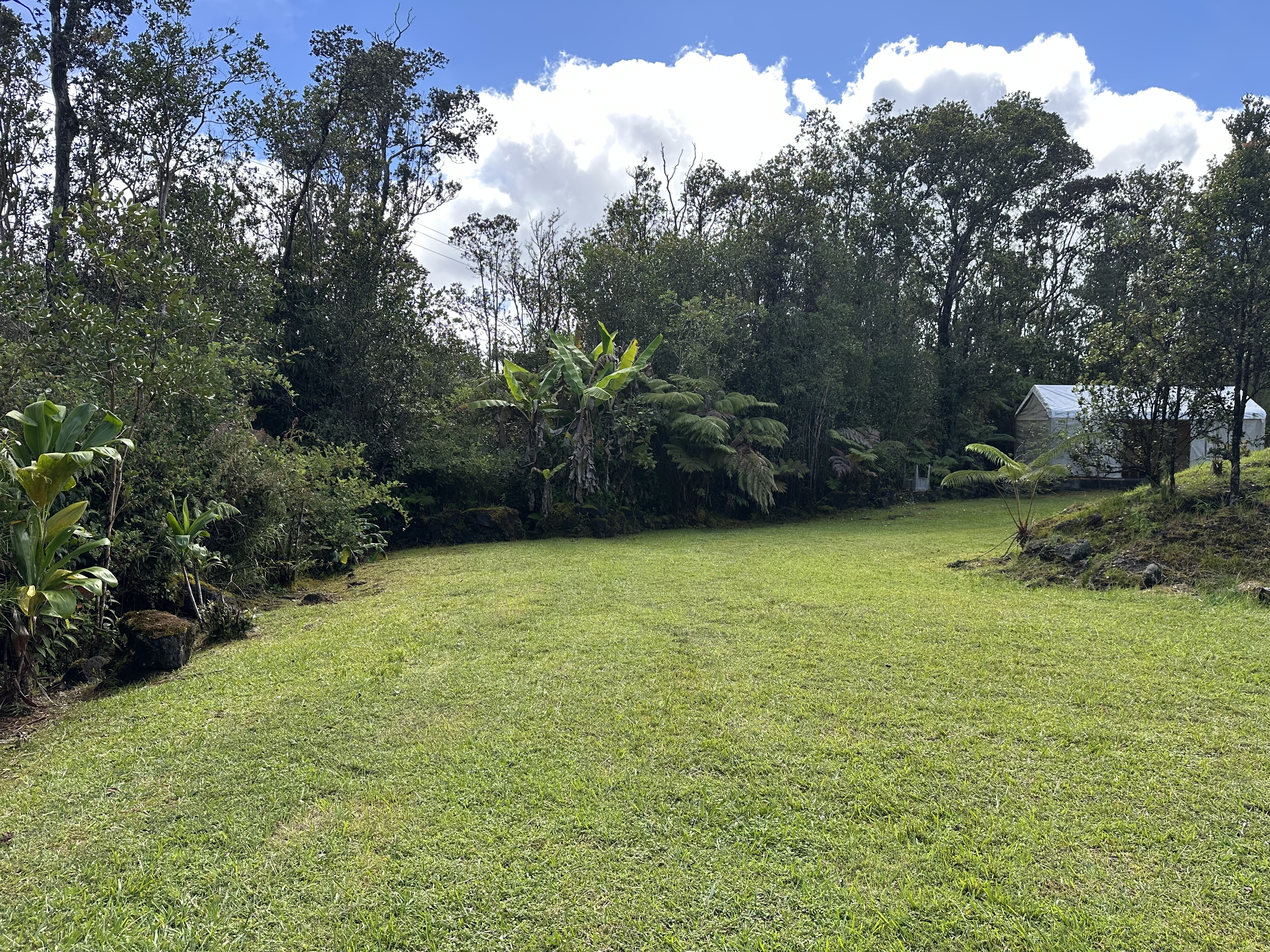 11-3003 Kahaualea Road Volcano, HI 96771 - Photo 16 of 25 a view of a green yard