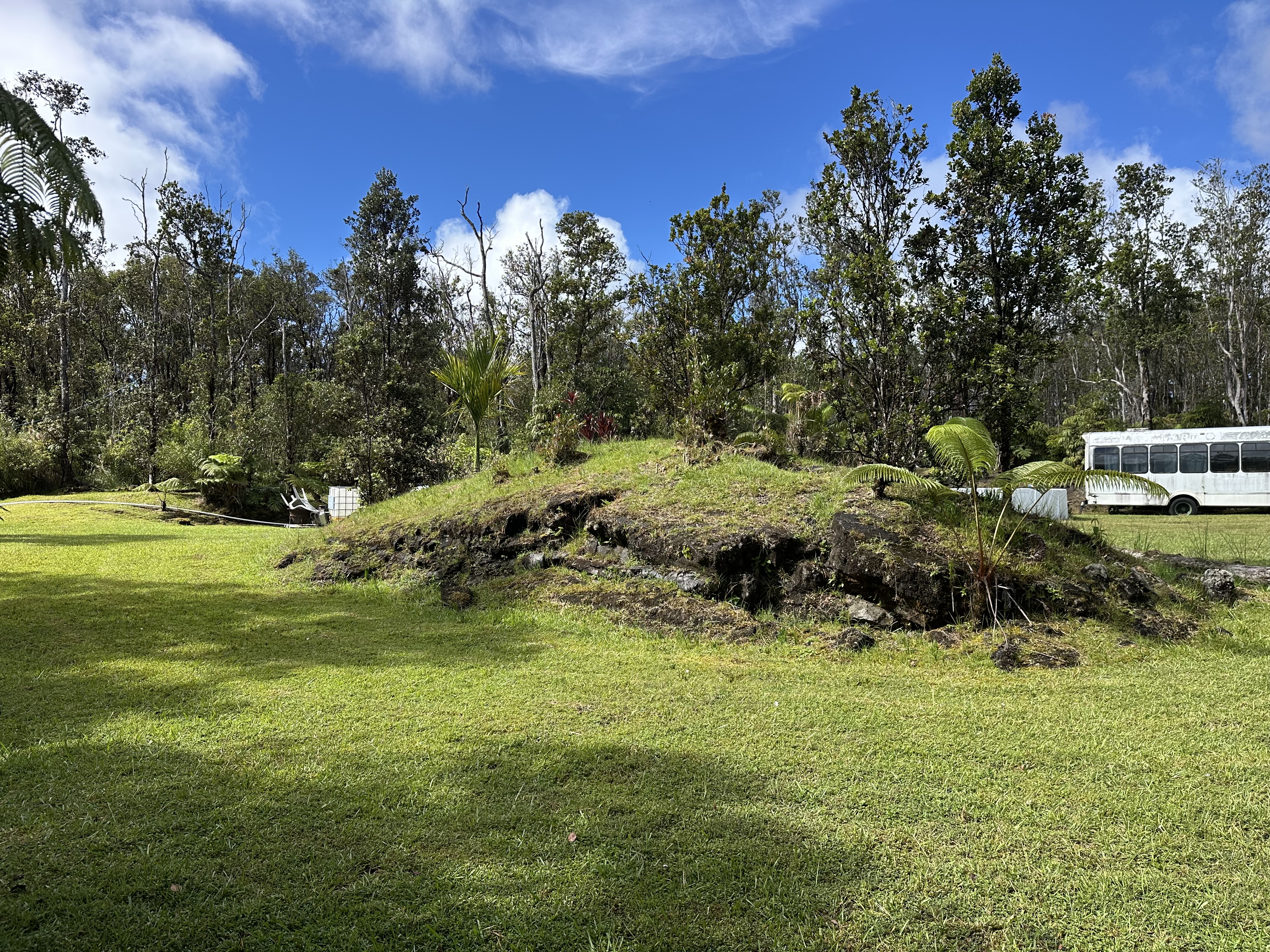 11-3003 Kahaualea Road Volcano, HI 96771 - Photo 17 of 25 a view of a park with large trees