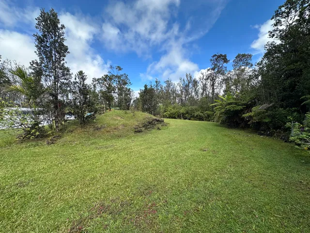a big yard with lots of green space and trampoline
