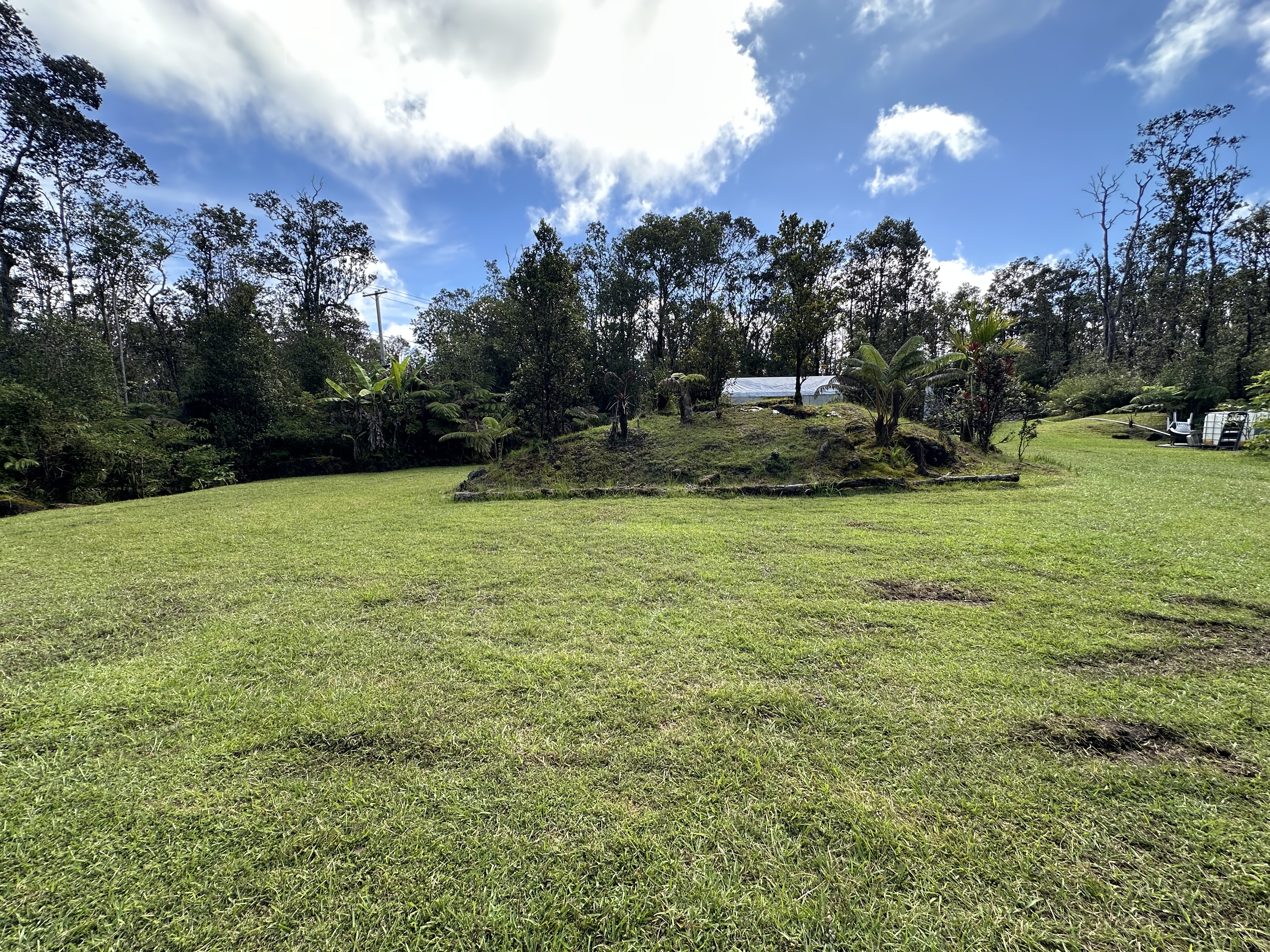 11-3003 Kahaualea Road Volcano, HI 96771 - Photo 2 of 25 a view of a garden with houses