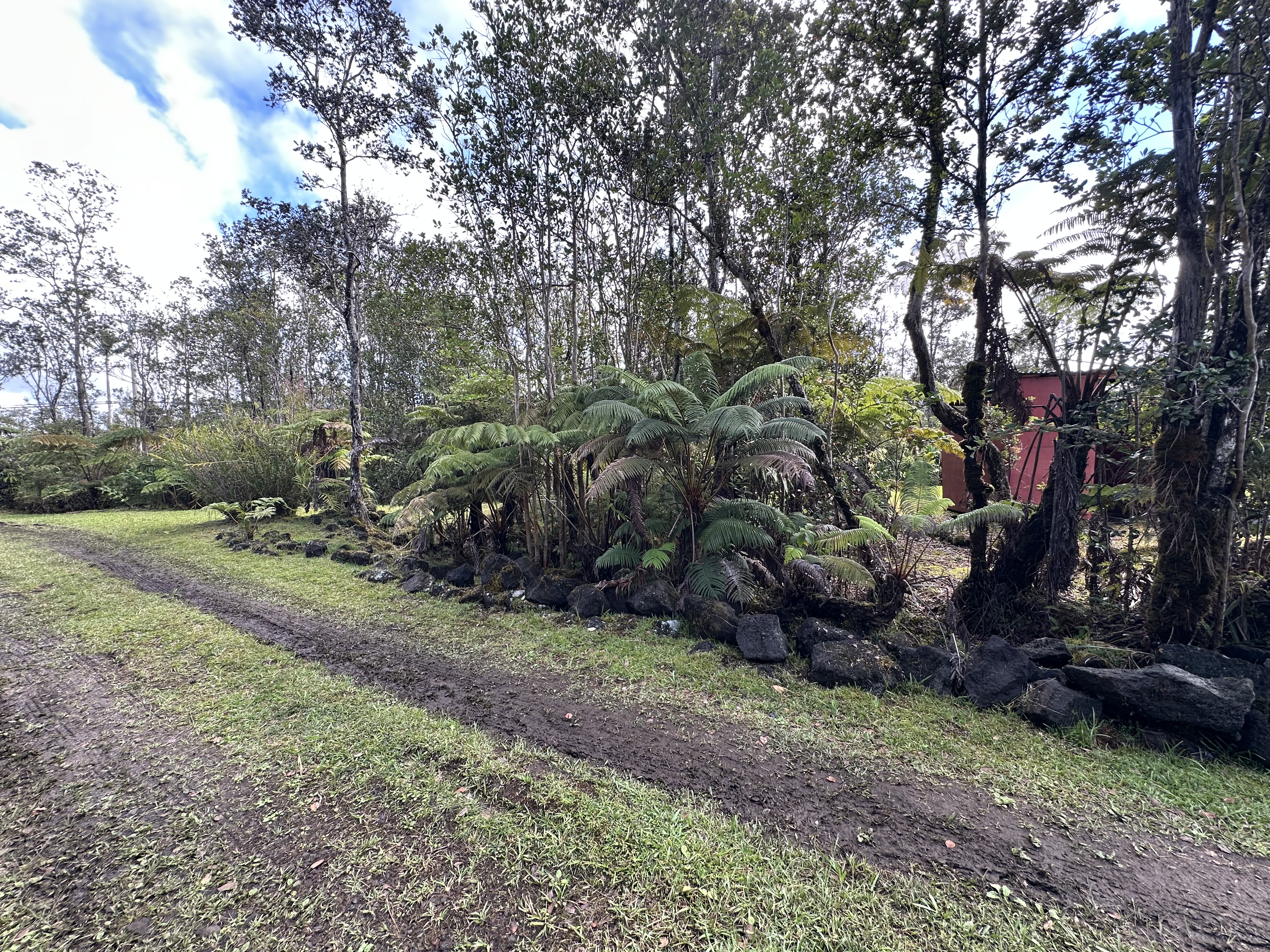 11-3003 Kahaualea Road Volcano, HI 96771 - Photo 22 of 25 a big yard with lots of green space