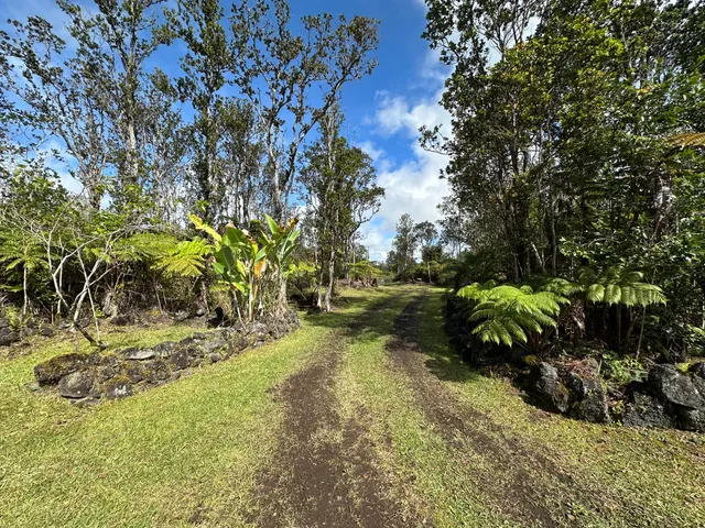 a view of yard with green space
