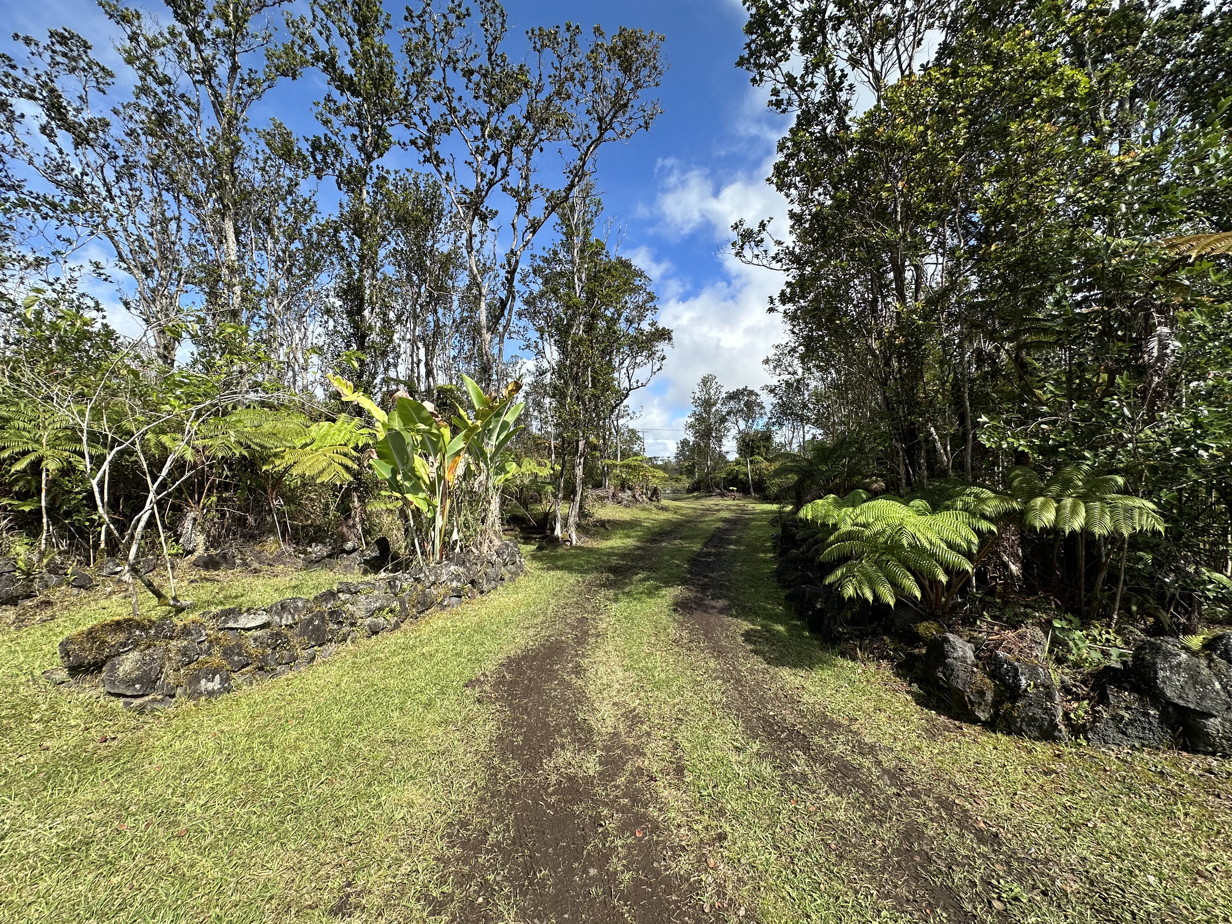 11-3003 Kahaualea Road Volcano, HI 96771 - Photo 23 of 25 a view of yard with green space