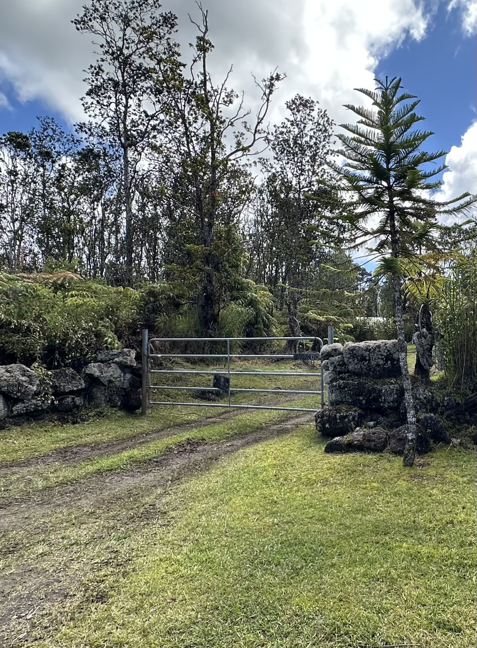 11-3003 Kahaualea Road Volcano, HI 96771 - Photo 24 of 25 a view of a garden with lawn chairs
