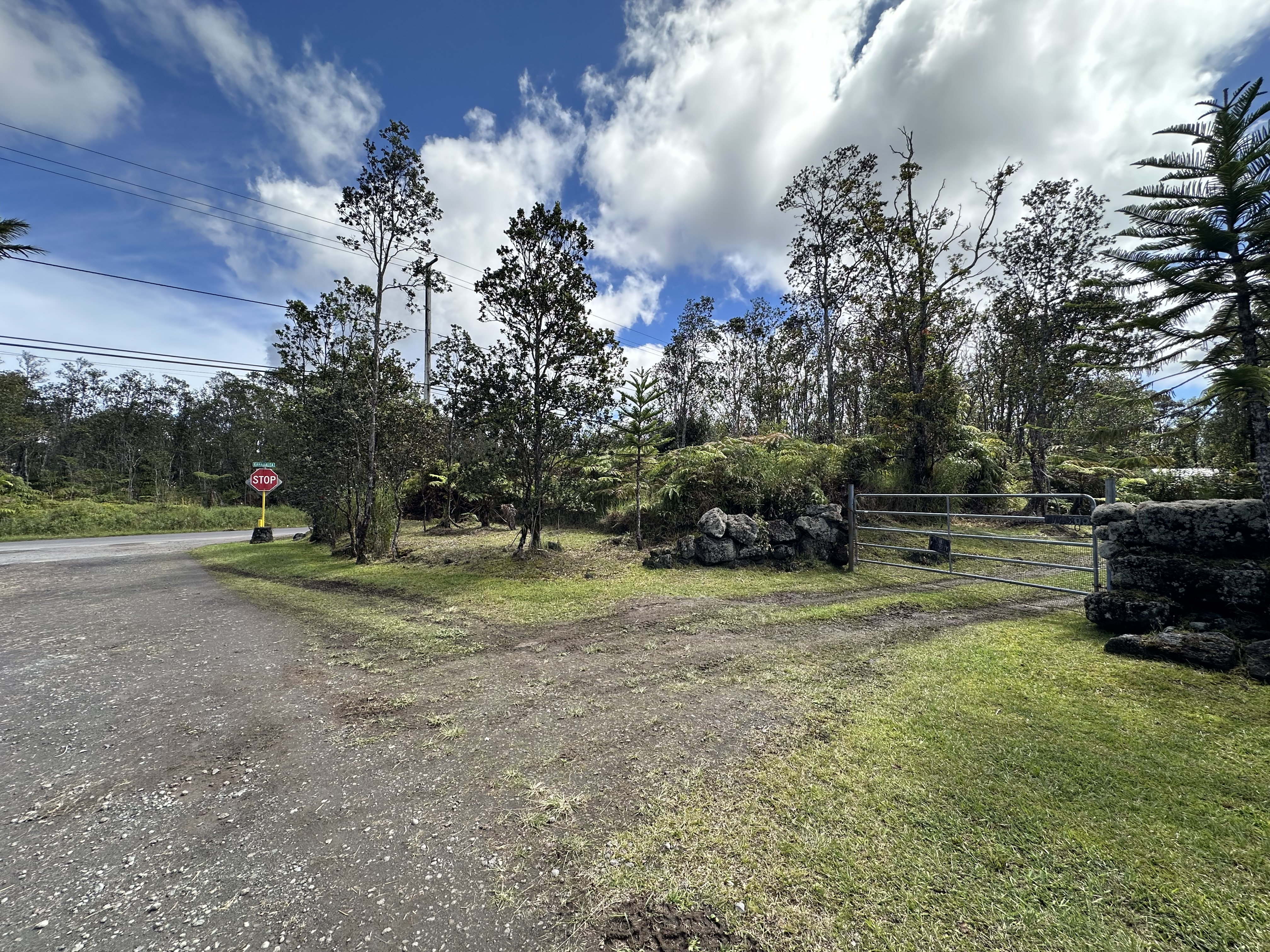 11-3003 Kahaualea Road Volcano, HI 96771 - Photo 25 of 25 a view of a park