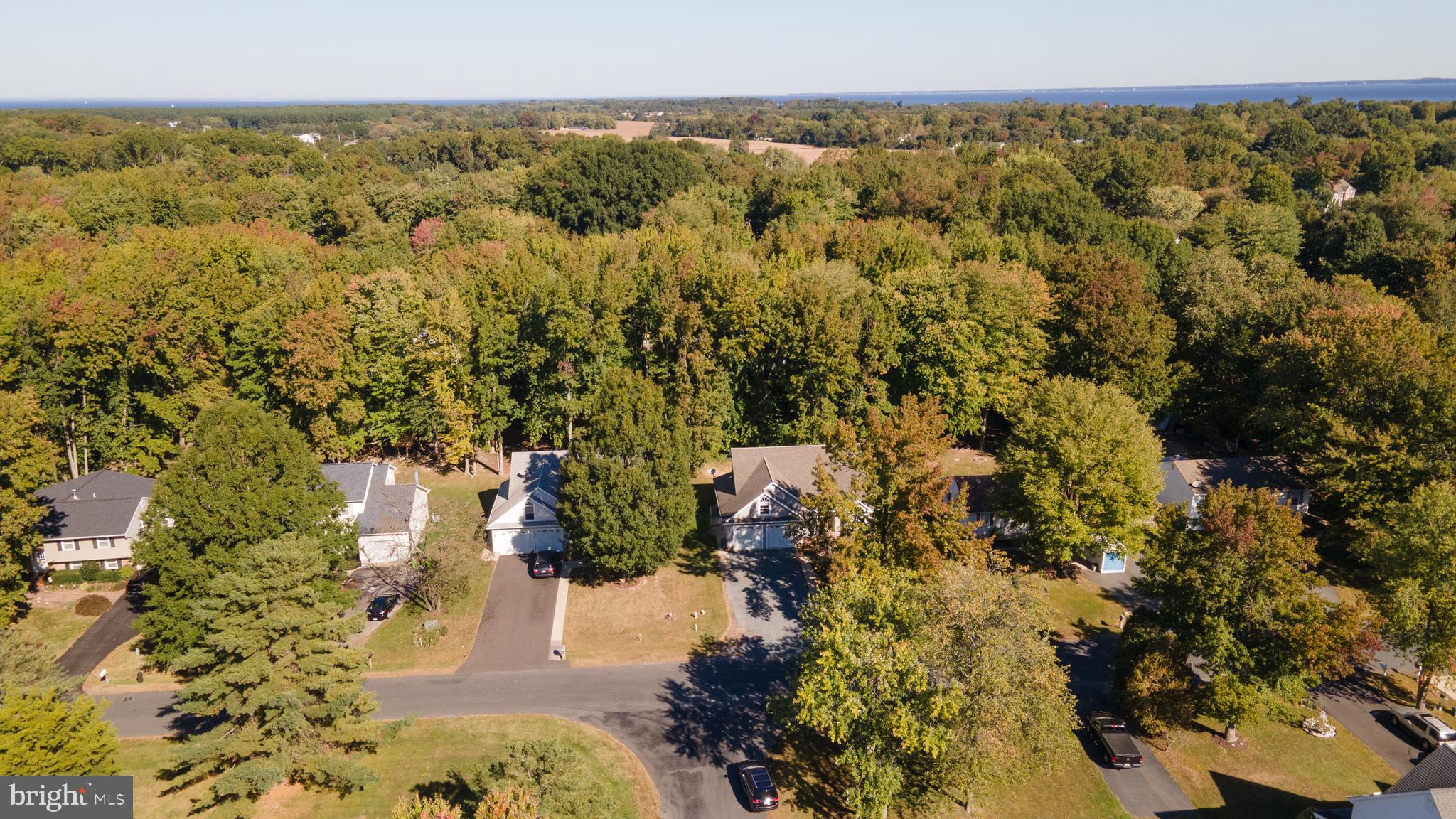 316 Ackerman Road Stevensville, MD 21666 - Photo 8 of 46 Gallery Image 8