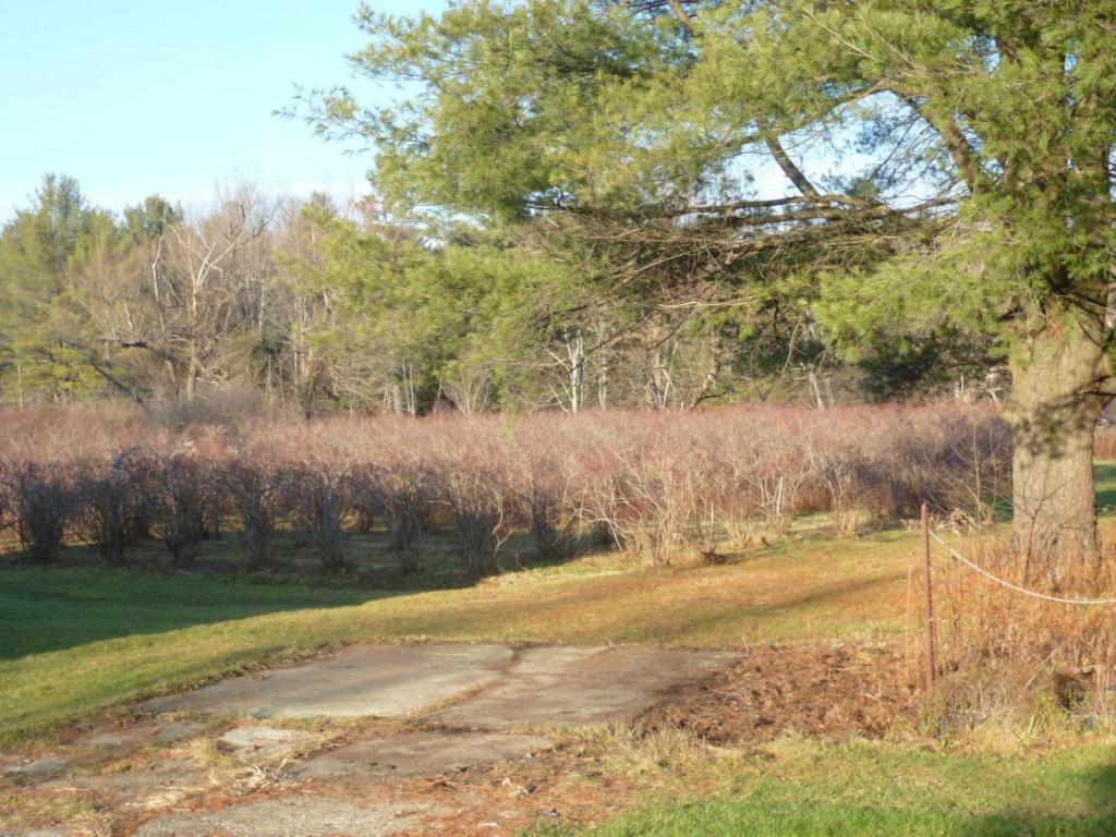 142 Allen Road Port Crane, NY 13833 - Photo 8 of 10 Gallery Image 8