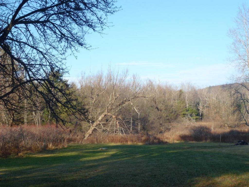 142 Allen Road Port Crane, NY 13833 - Photo 9 of 10 Gallery Image 9