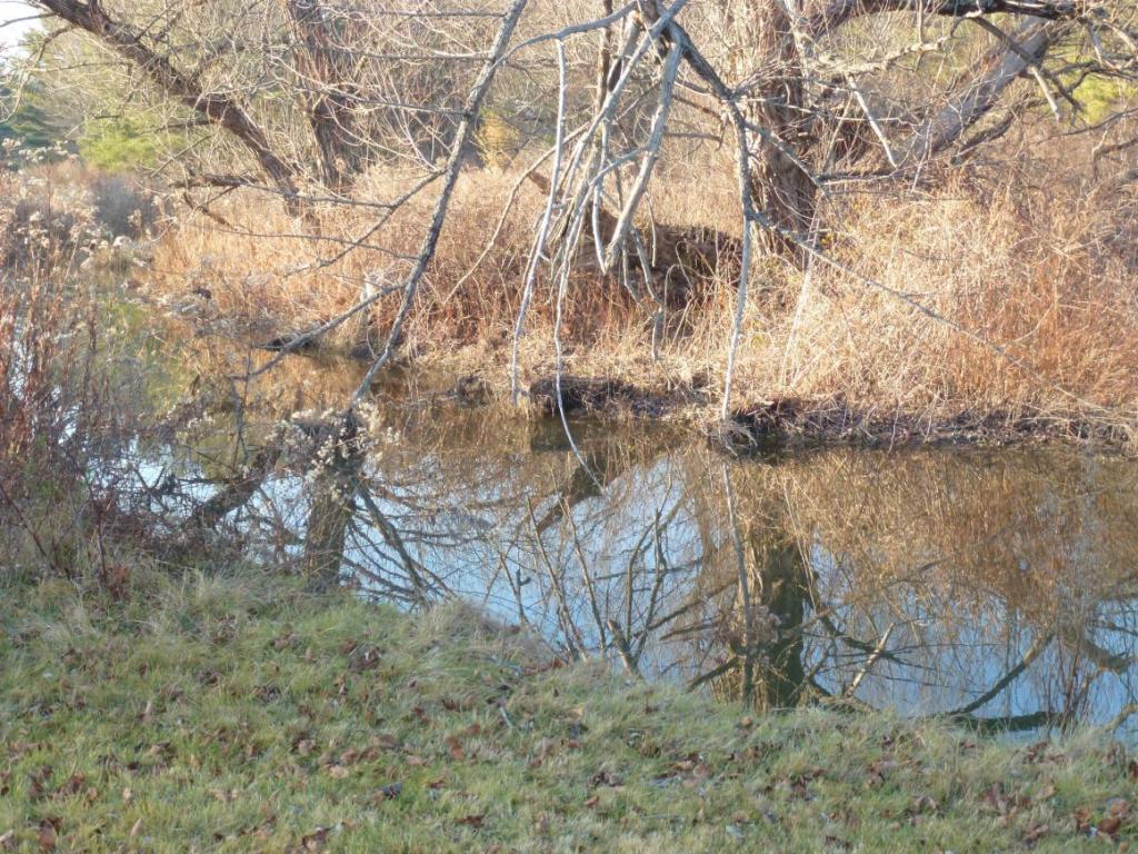 142 Allen Road Port Crane, NY 13833 - Photo 10 of 10 Gallery Image 10