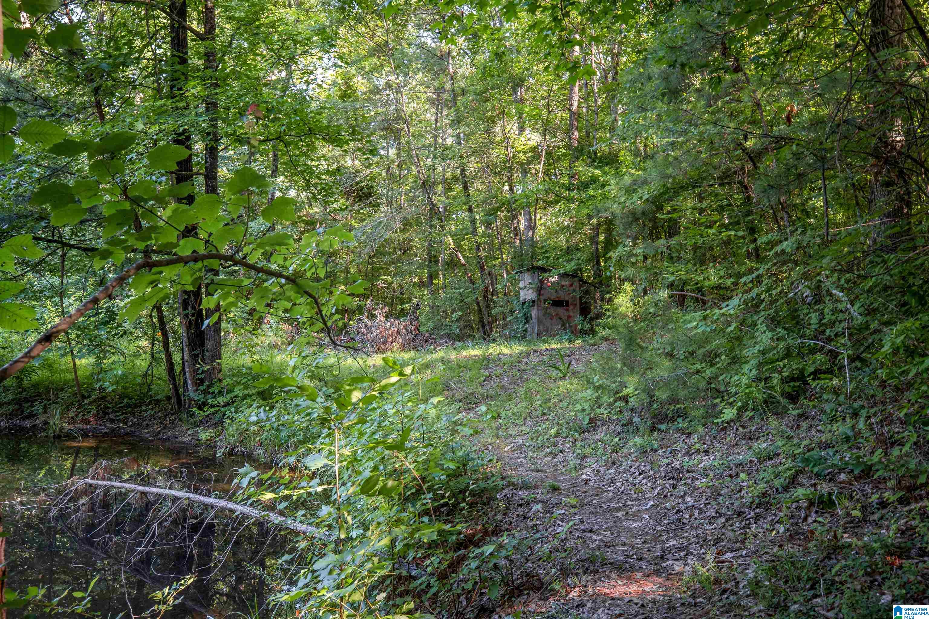 880 Rolling Hills Road Gadsden, AL 35901 - Photo 51 of 51
