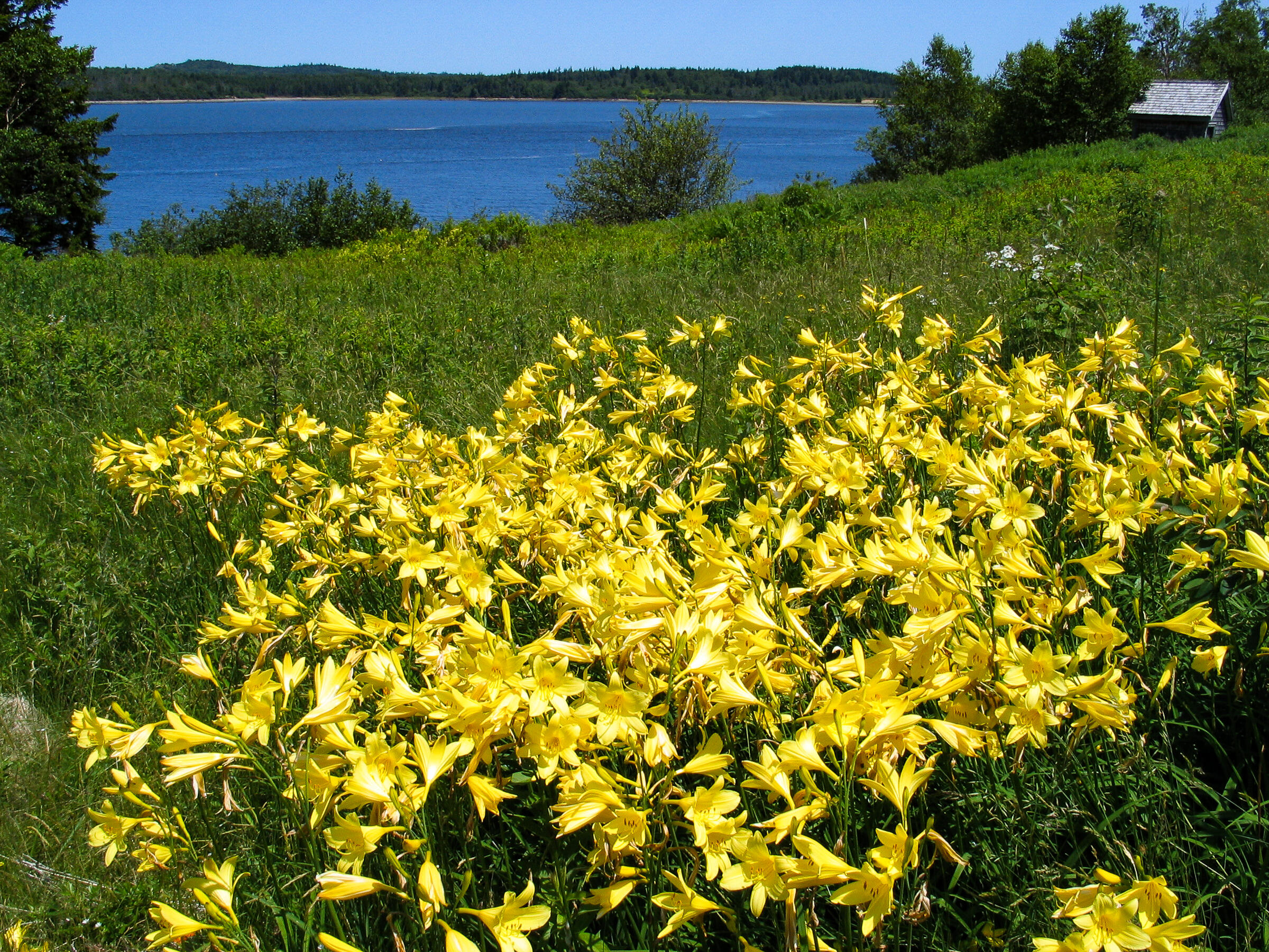 150 Clarks Point Road Machiasport, ME 04655 - Photo 36 of 41 IMG_4937
