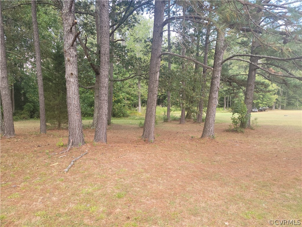 19333 Gray Road Yale, VA 23897 - Photo 12 of 15 Gallery Image 12