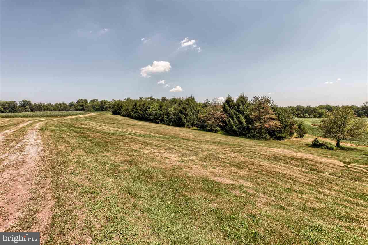 340 Patrick Road East Palmyra, PA 17078 - Photo 22 of 25 Gallery Image 22