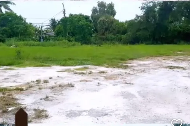 a view of a road with a yard