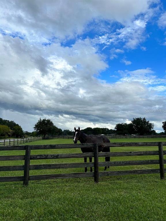 1350 Northeast 105th Lane Anthony, FL 32617 - Photo 19 of 29