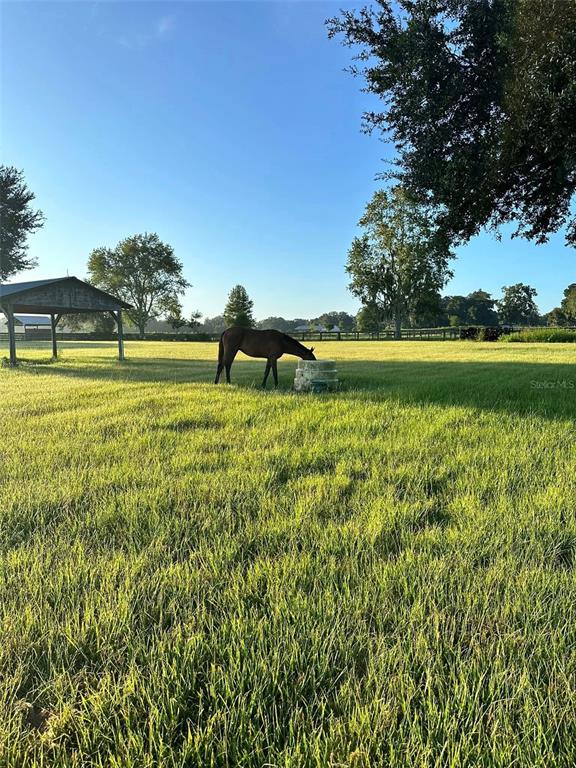 1350 Northeast 105th Lane Anthony, FL 32617 - Photo 20 of 29