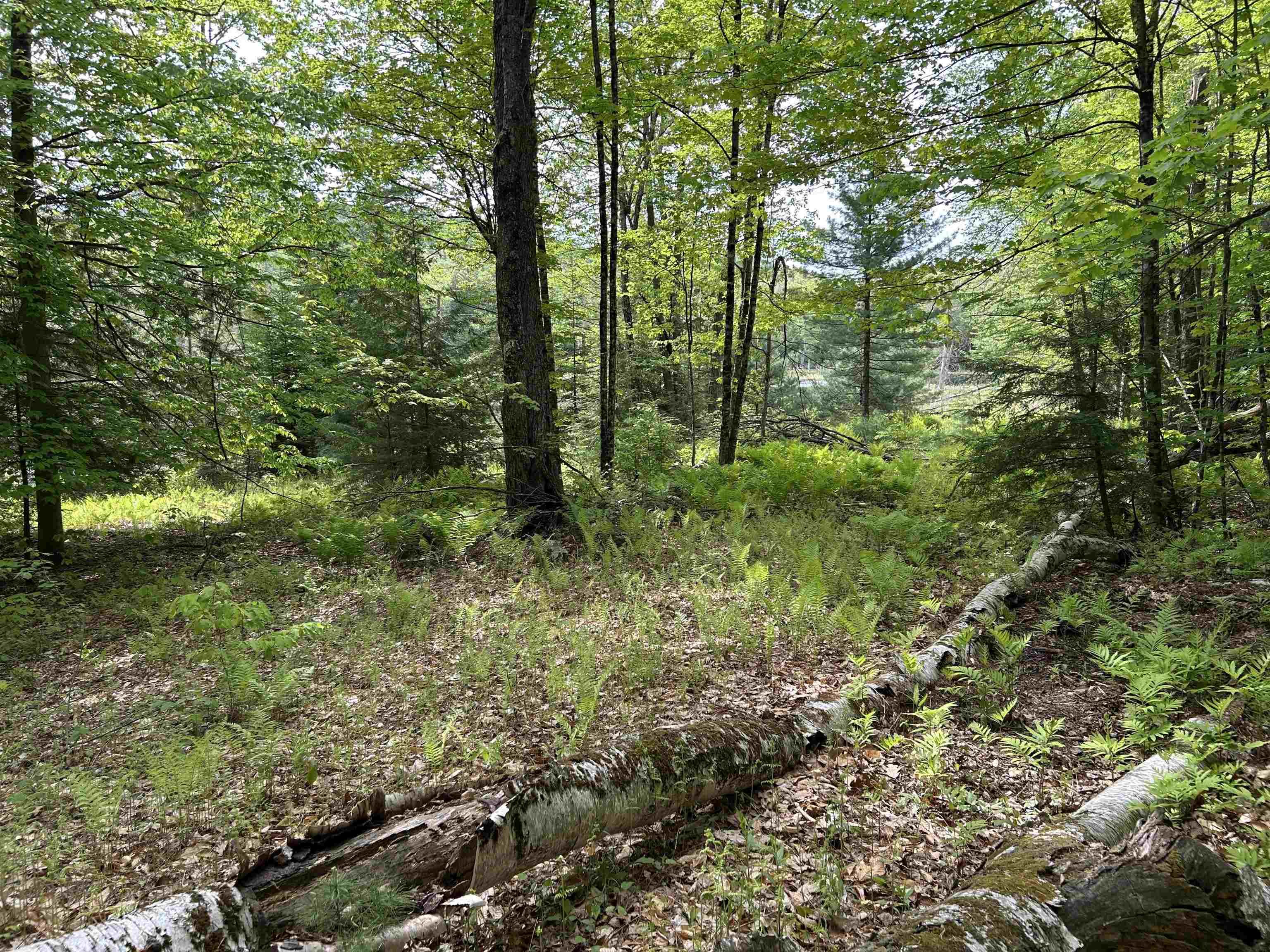 0 Pound Road North North Sutton, NH 03260 - Photo 50 of 51