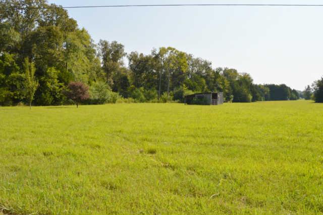 1650 Moss Road Chapel Hill, TN 37034 - Photo 2 of 20 Gallery Image 2