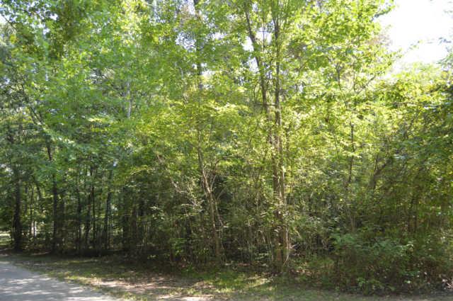 1650 Moss Road Chapel Hill, TN 37034 - Photo 20 of 20 Gallery Image 20