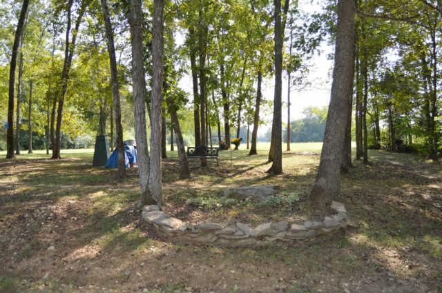 1650 Moss Road Chapel Hill, TN 37034 - Photo 3 of 20 Gallery Image 3