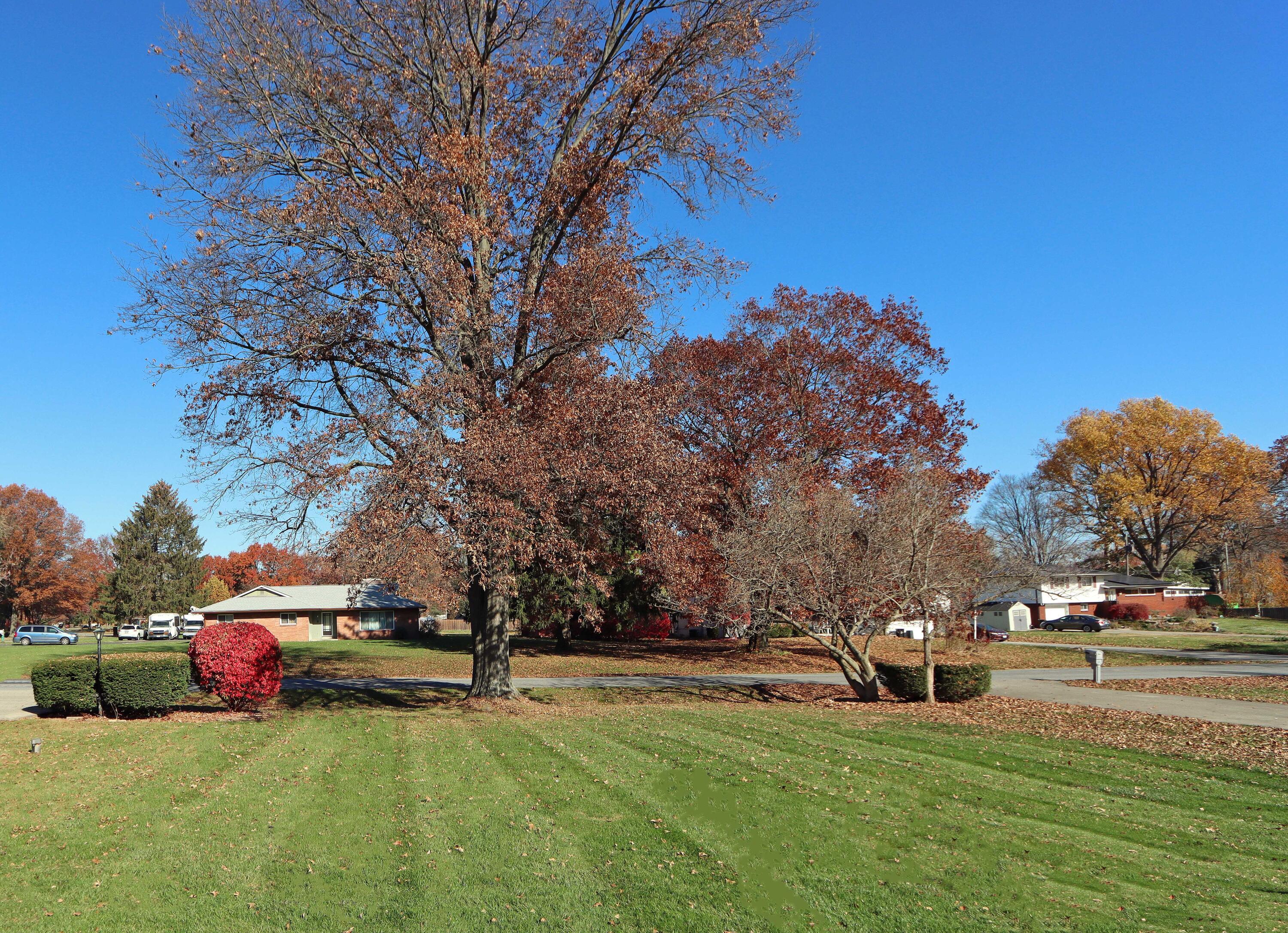 4667 Wingate Road Columbus, OH 43232 - Photo 42 of 47 IMG_2988_edited-1
