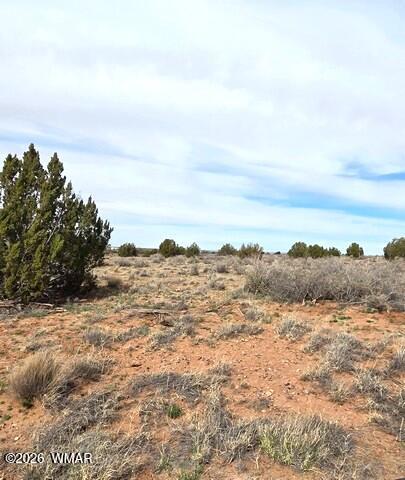 5324 White Antelope Road Snowflake, AZ 85937 - Photo 17 of 19