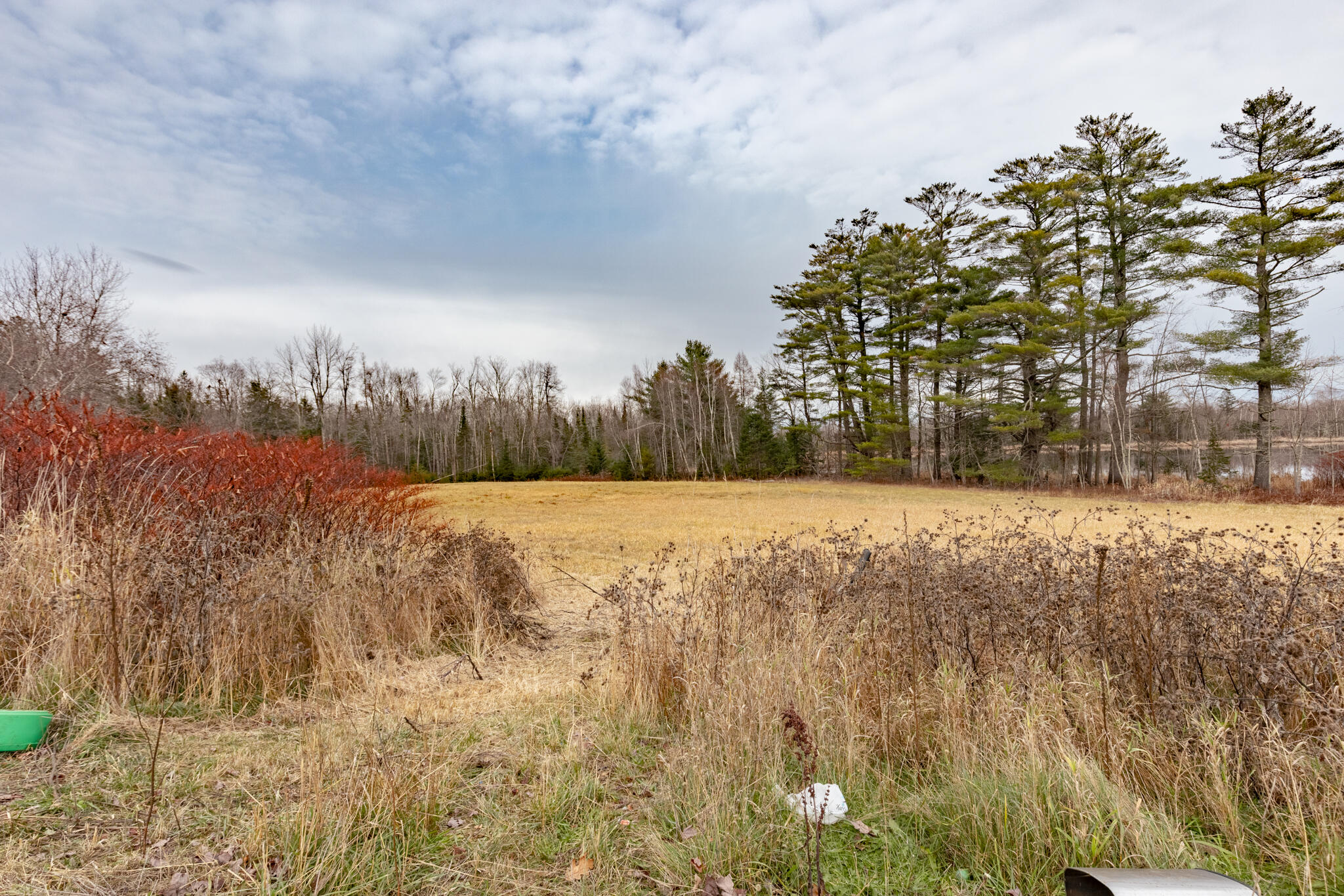 1156 Main Street Corinth, ME 04427 - Photo 30 of 52 20251125-_MG_0464-HDR