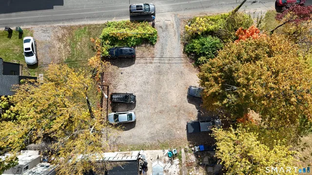 a plant is sitting in front of a mirror