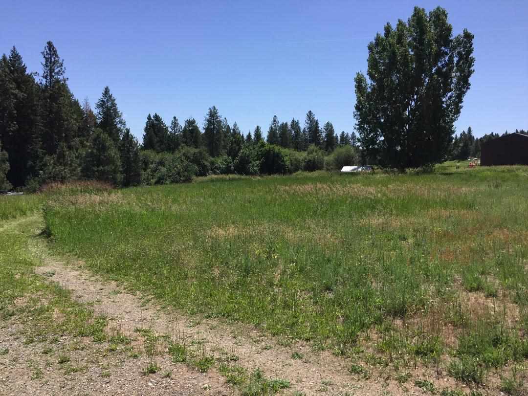 24610 North Perry Road Colbert, WA 99005 - Photo 5 of 6