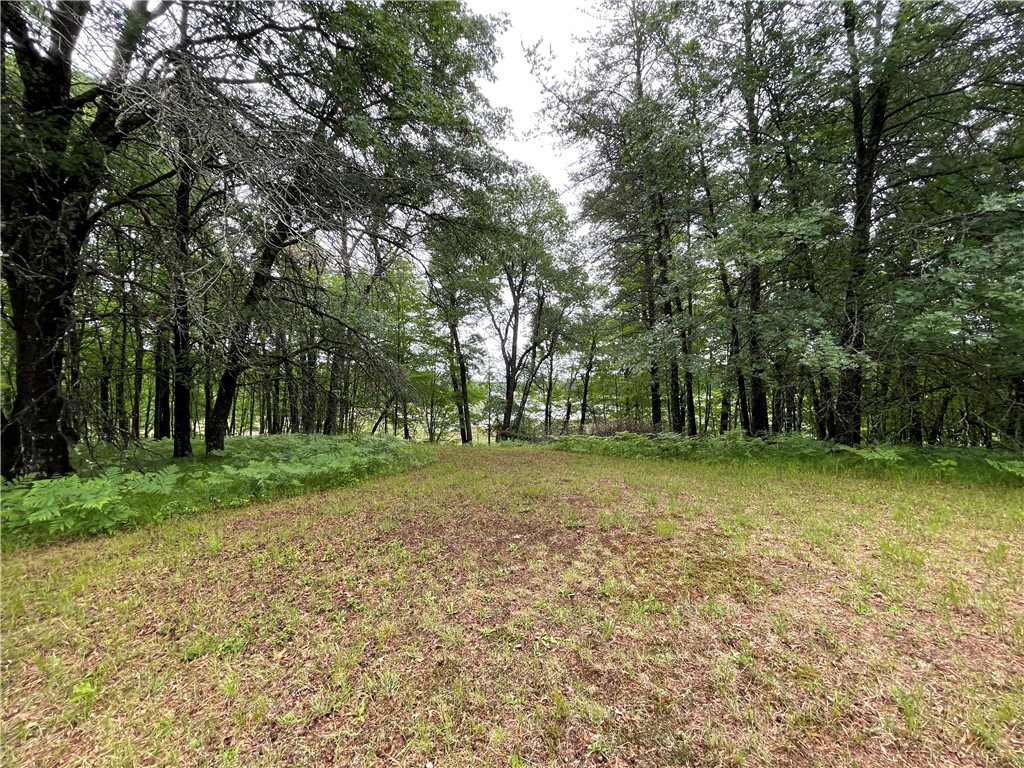 0 Loon Lake Road Spooner, WI 54801 - Photo 8 of 28