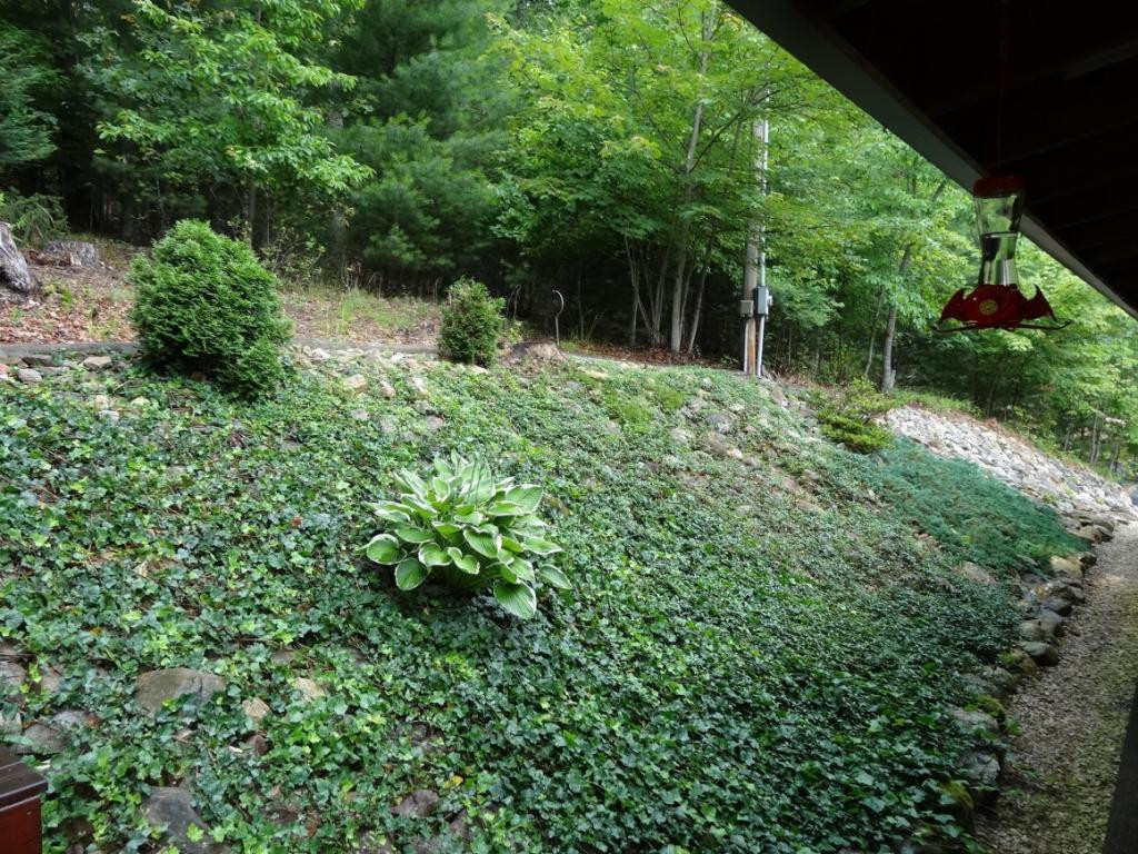 638 Crowder Road Mountain City, TN 37683 - Photo 20 of 30 Photo 20