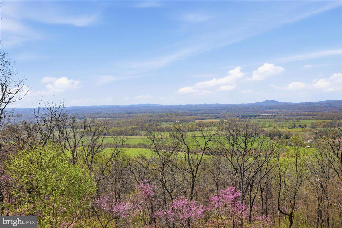 19897 Foresthill Road Bluemont, VA 20135 - Photo 29 of 39 a view of a city with lots of palm trees