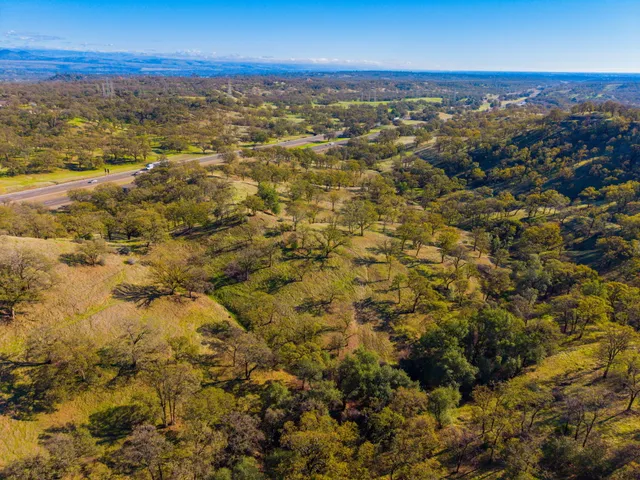 a view of city and ocean
