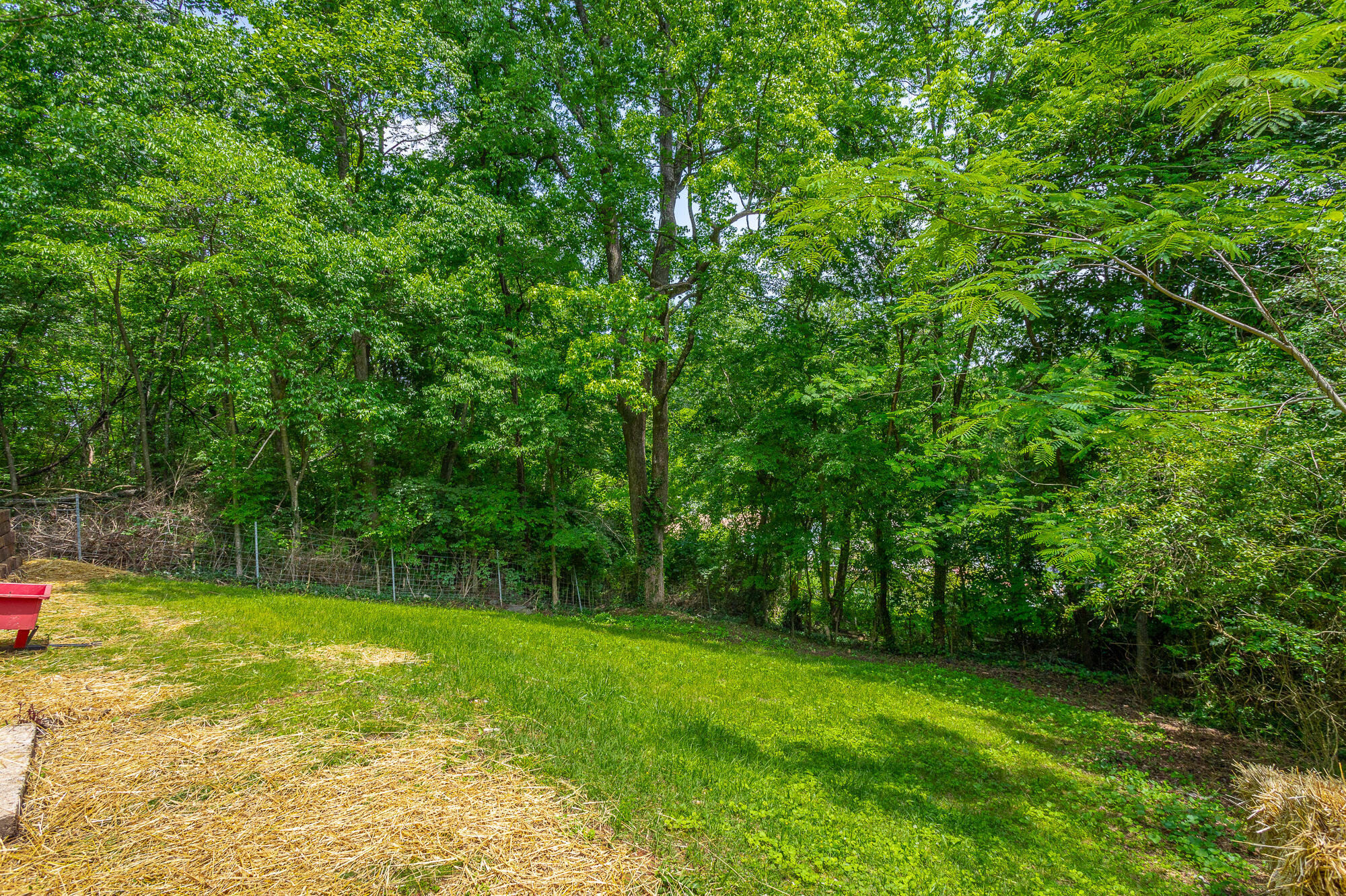 3614 Martin Road Chattanooga, TN 37415 - Photo 8 of 36 3614 Martin Road HD-31