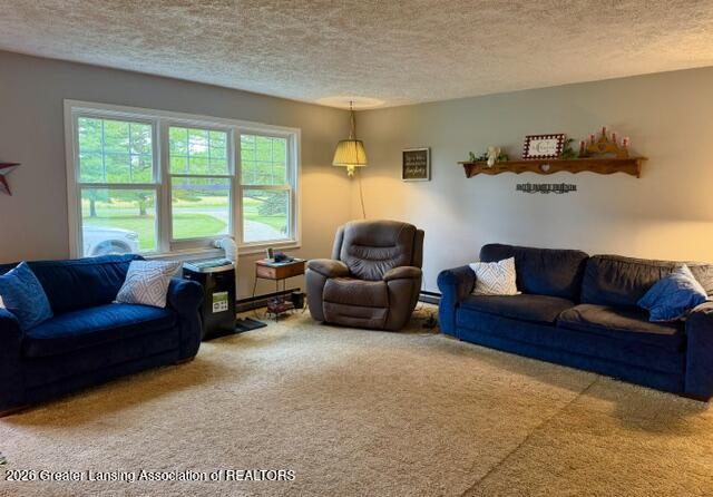 9230 West Howe Road Eagle, MI 48822 - Photo 13 of 29 IMG_5003