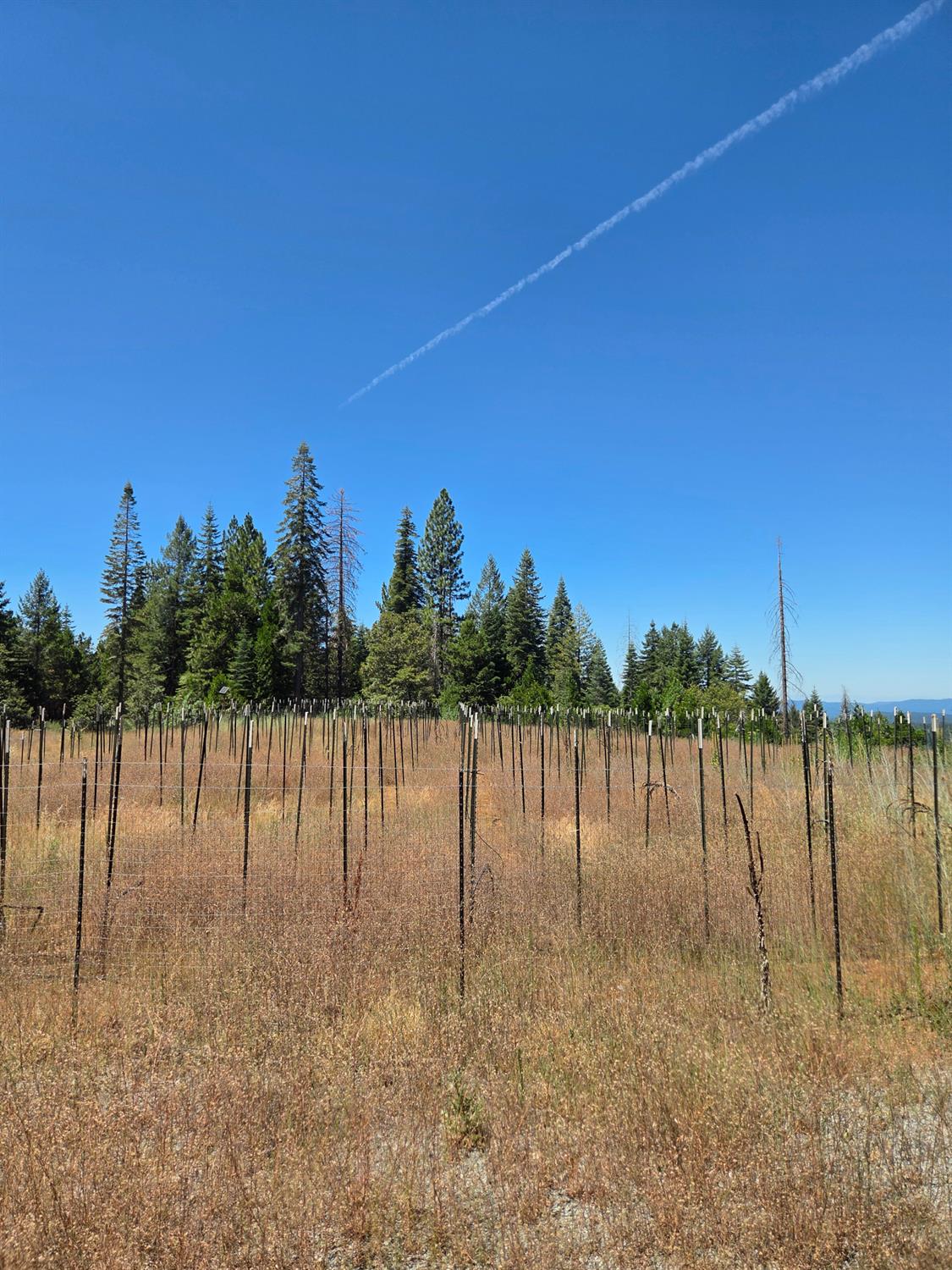 23133 Back Bone Road Nevada City, CA 95959 - Photo 23 of 33 Gallery Image 23