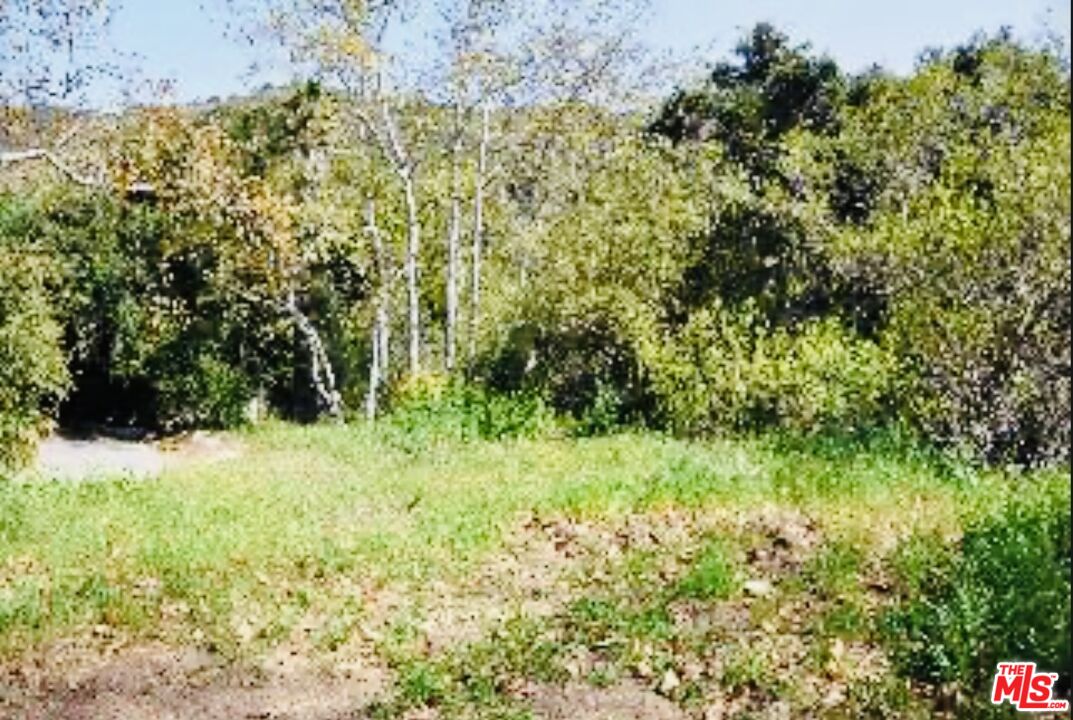 5812 Ramirez Canyon Road Malibu, CA 90265 - Photo 2 of 9 a view of outdoor space and green space