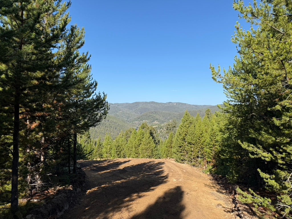 Lot 2 Ruby Mine Road Butte, MT 59701 - Photo 20 of 22 Gallery Image 20