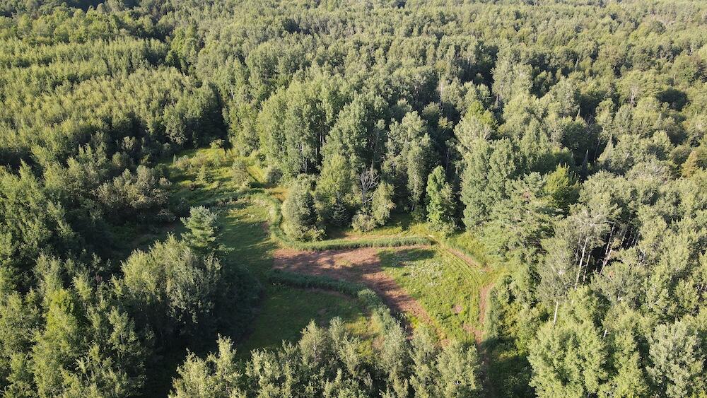 East Procunier Road Harrisville, MI 48740 - Photo 25 of 78 Gallery Image 25