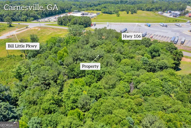 a view of a outdoor space with signage and flags
