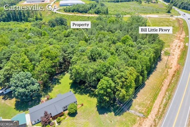 a view of outdoor space with signage and flags